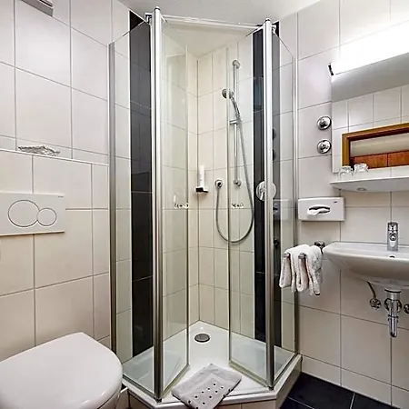 Hotel Zur Rose 3*